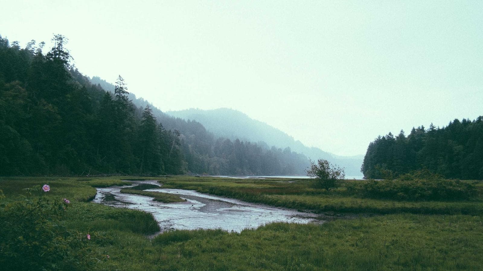 AI Career Anxiety for Developers: A Practical Stay-Relevant Plan — Cognitype blog thumbnail