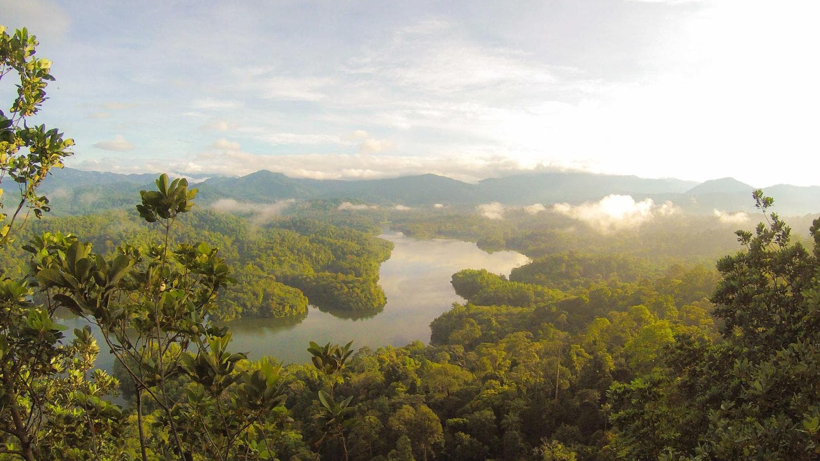 From Social Listening to Content Calendar: An AI Framework for SMM Agencies — Cognitype blog thumbnail