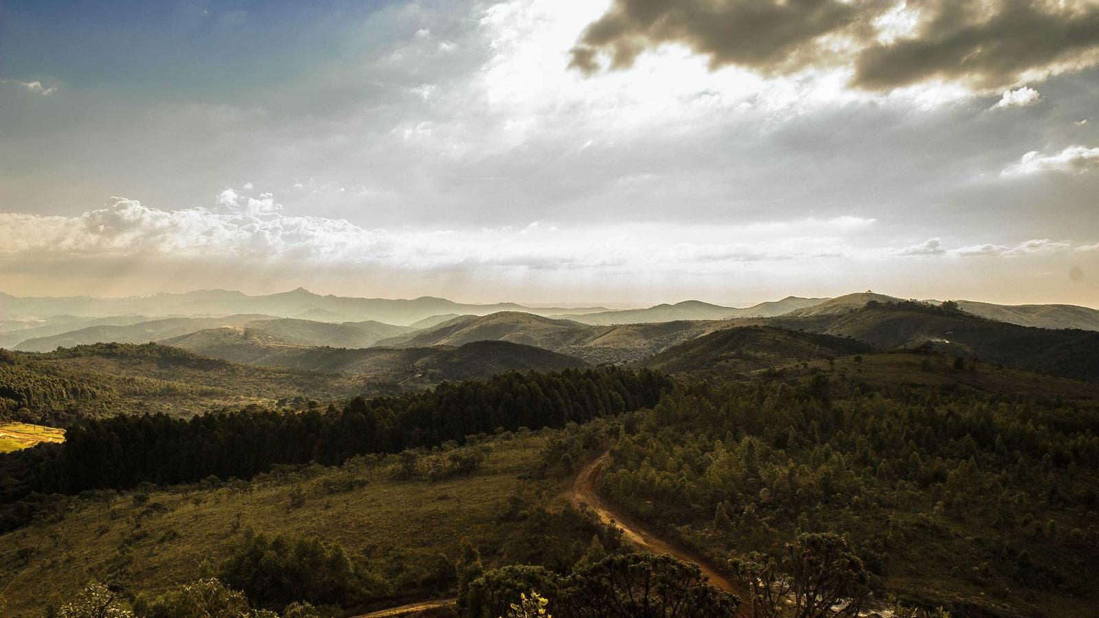 AI Automation Limits in Social Media: Helpful or Harmful? — Cognitype blog thumbnail