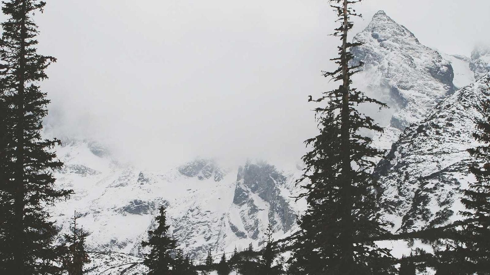 Bukan Cuma Caption Generator: Cara Pakai AI untuk Bangun Strategi Konten Agency — Cognitype blog thumbnail